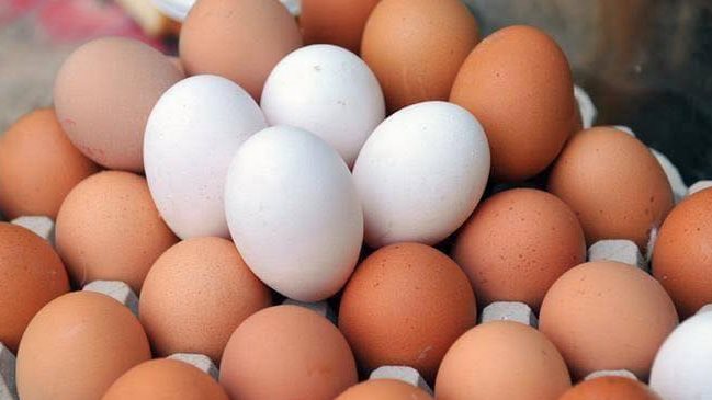 اسعار البيض اليوم1